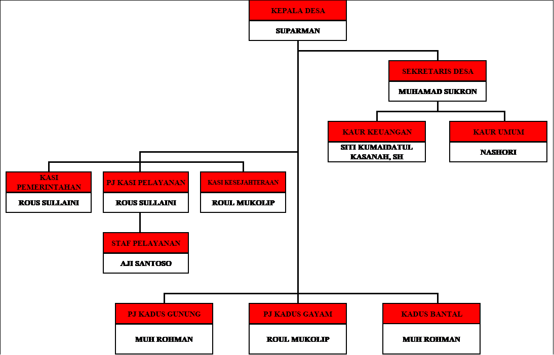struktur organisasi